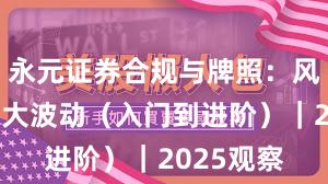 永元证券合规与牌照：风控能扛多大波动（入门到进阶）｜2025观察