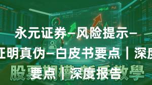 永元证券—风险提示—怎么证明真伪—白皮书要点｜深度报告