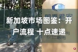 新加坡市场图鉴：开户流程 十点速递
