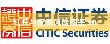 杠杆与配资风险图鉴 sn