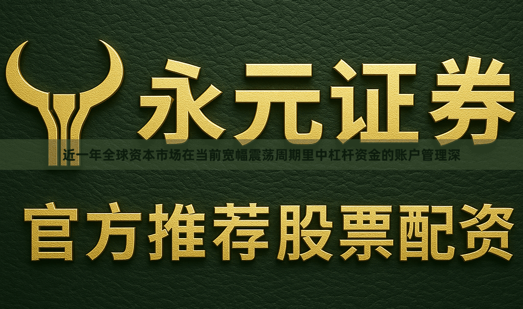 近一年全球资本市场在当前宽幅震荡周期里中杠杆资金的账户管理深