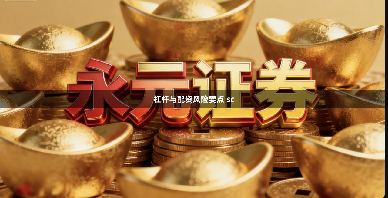 杠杆与配资风险要点 sc