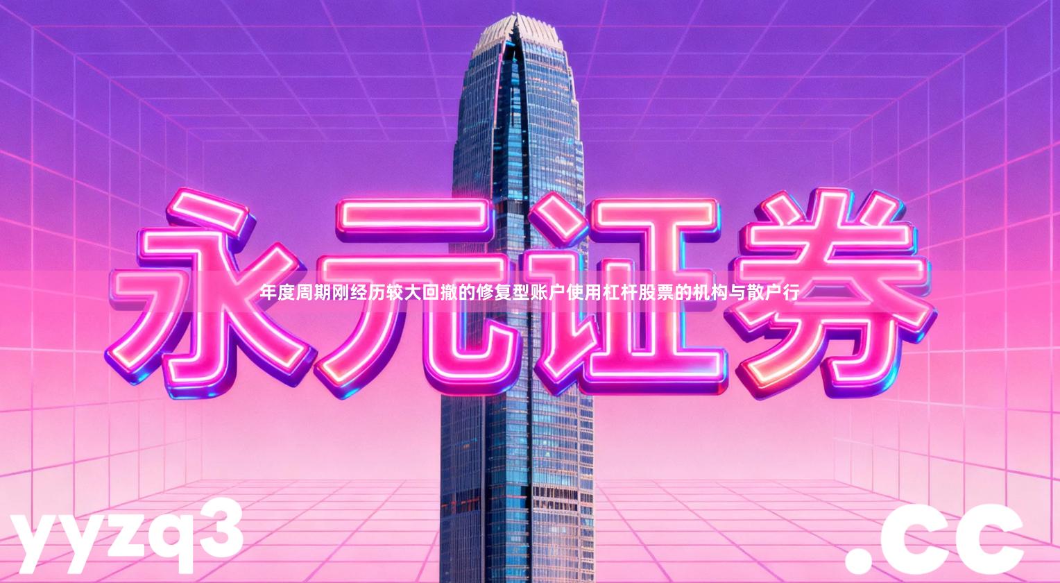 年度周期刚经历较大回撤的修复型账户使用杠杆股票的机构与散户行