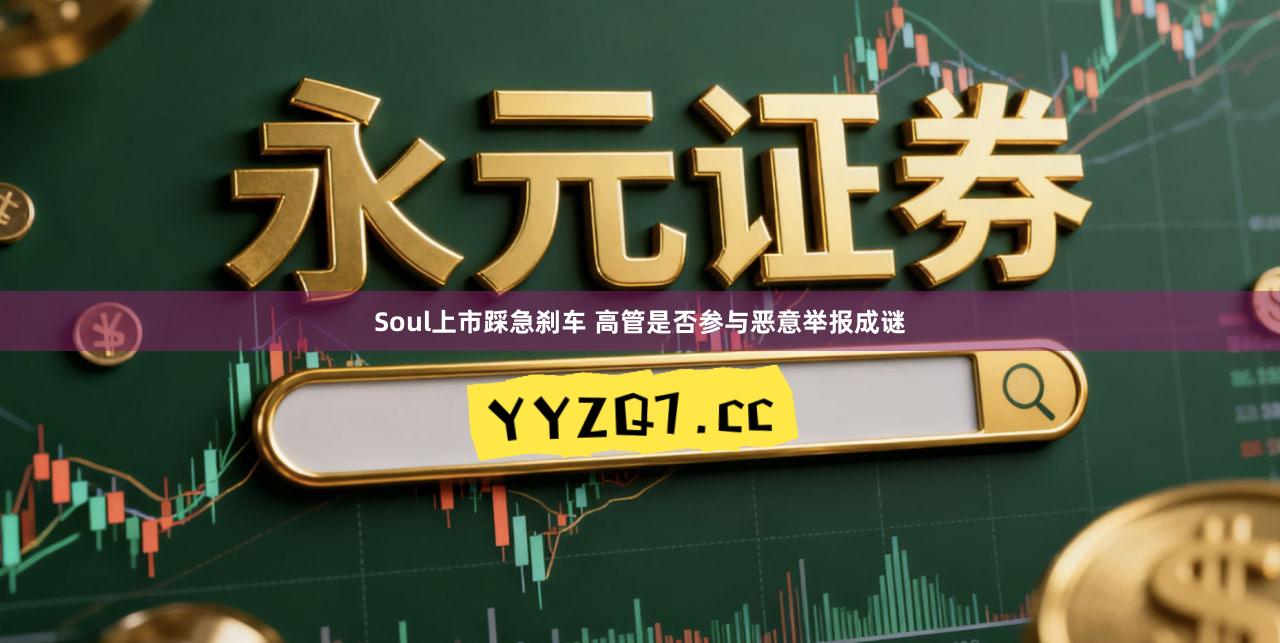 Soul上市踩急刹车 高管是否参与恶意举报成谜